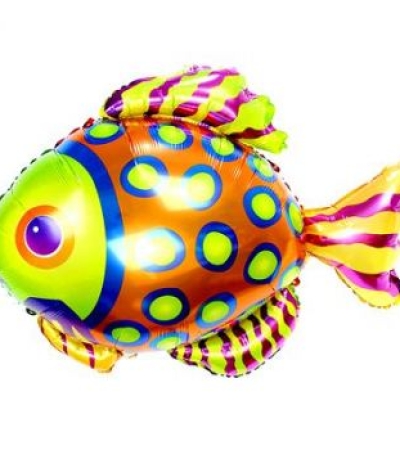 Разноцветная рыбка 